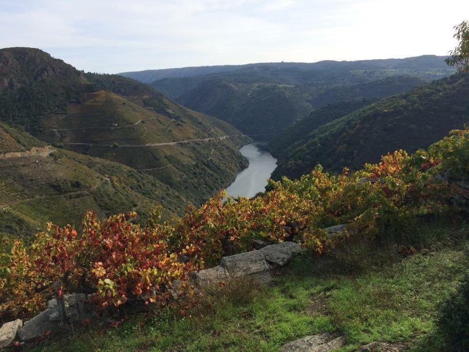 Acogedor Apartamento Ribeira Sacra Monforte De Lemos Exterior photo